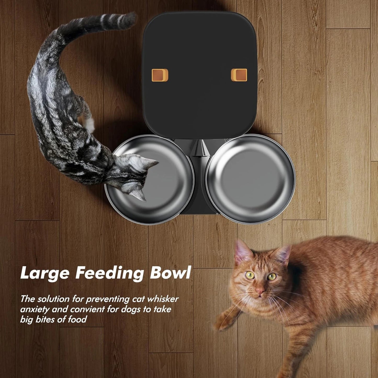 Comedouro Automático Newpet 8L para Pets – Alimentação Programada para Cães e Gatos